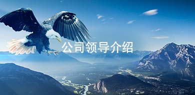 公司领导介绍